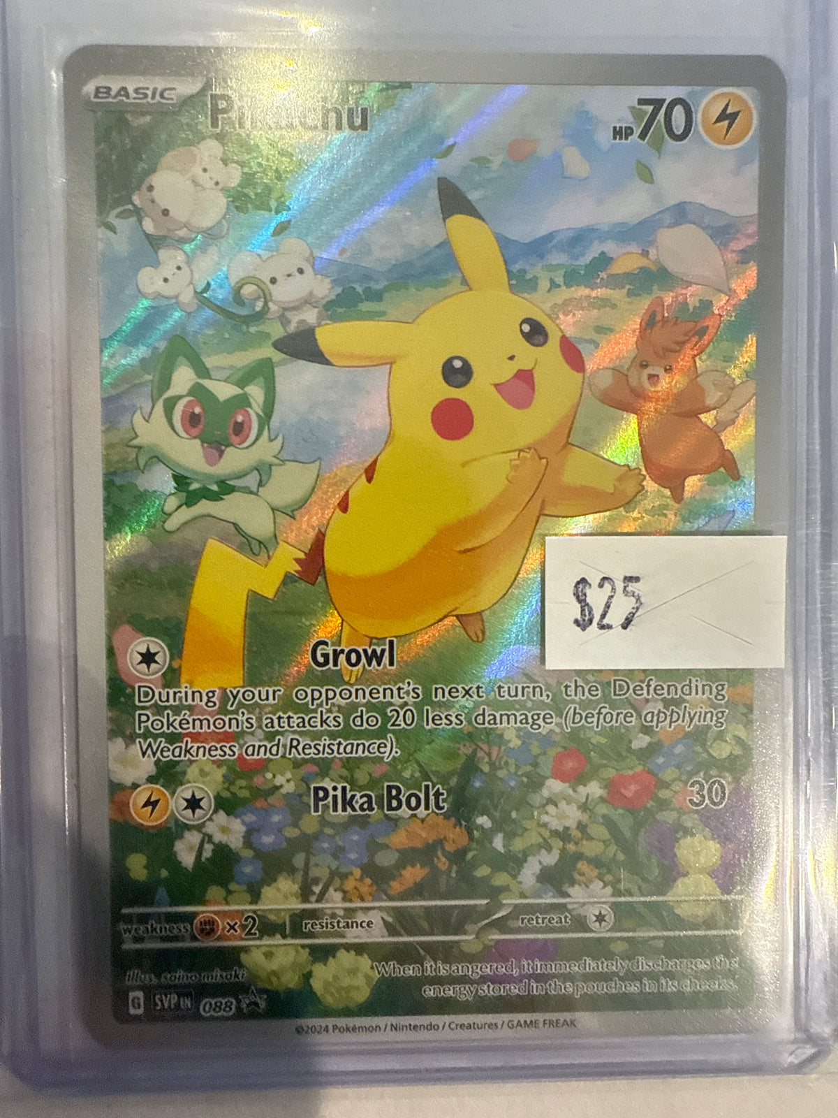 Pikachu 088