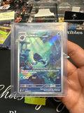 Pokemon - Tirtouga 106/086