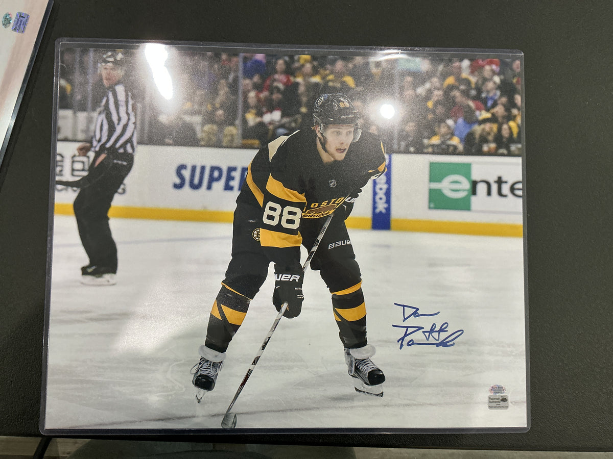 David Pasternak autographed picture 16x20