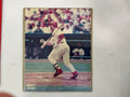 Mark McGwire 8x10 Autographed Picture