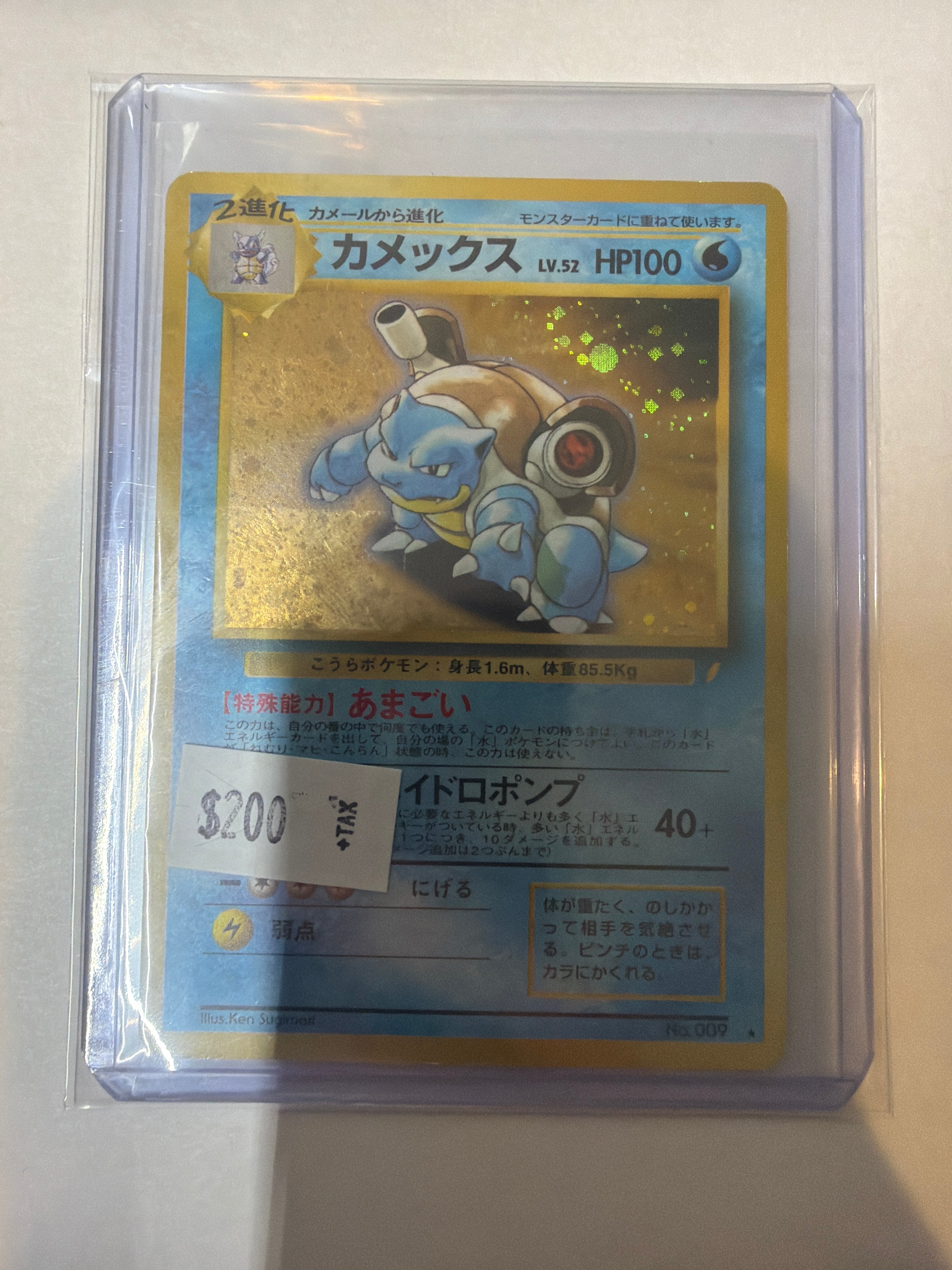 Japanese blastoise 9