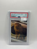 2025 Topps Chrome Disney Mufas Black Wave PSA 9 09/10